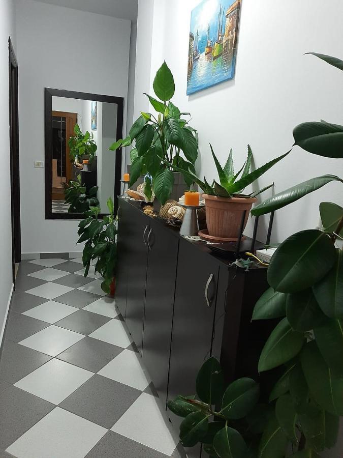 Guesthouse Jasmine 사밀 외부 사진