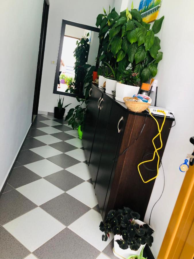 Guesthouse Jasmine 사밀 외부 사진